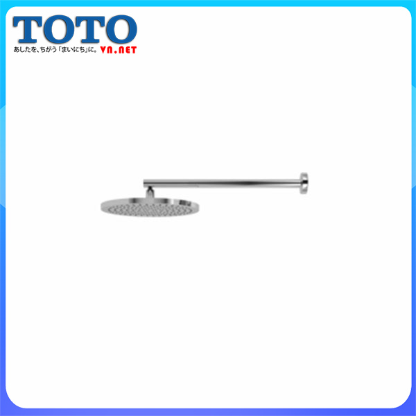 Bát sen mưa âm tường cao cấp TOTO tx488sz